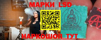 дмт Гатчина