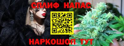дмт Гатчина