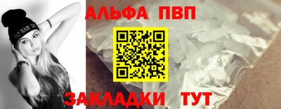 дмт Гатчина